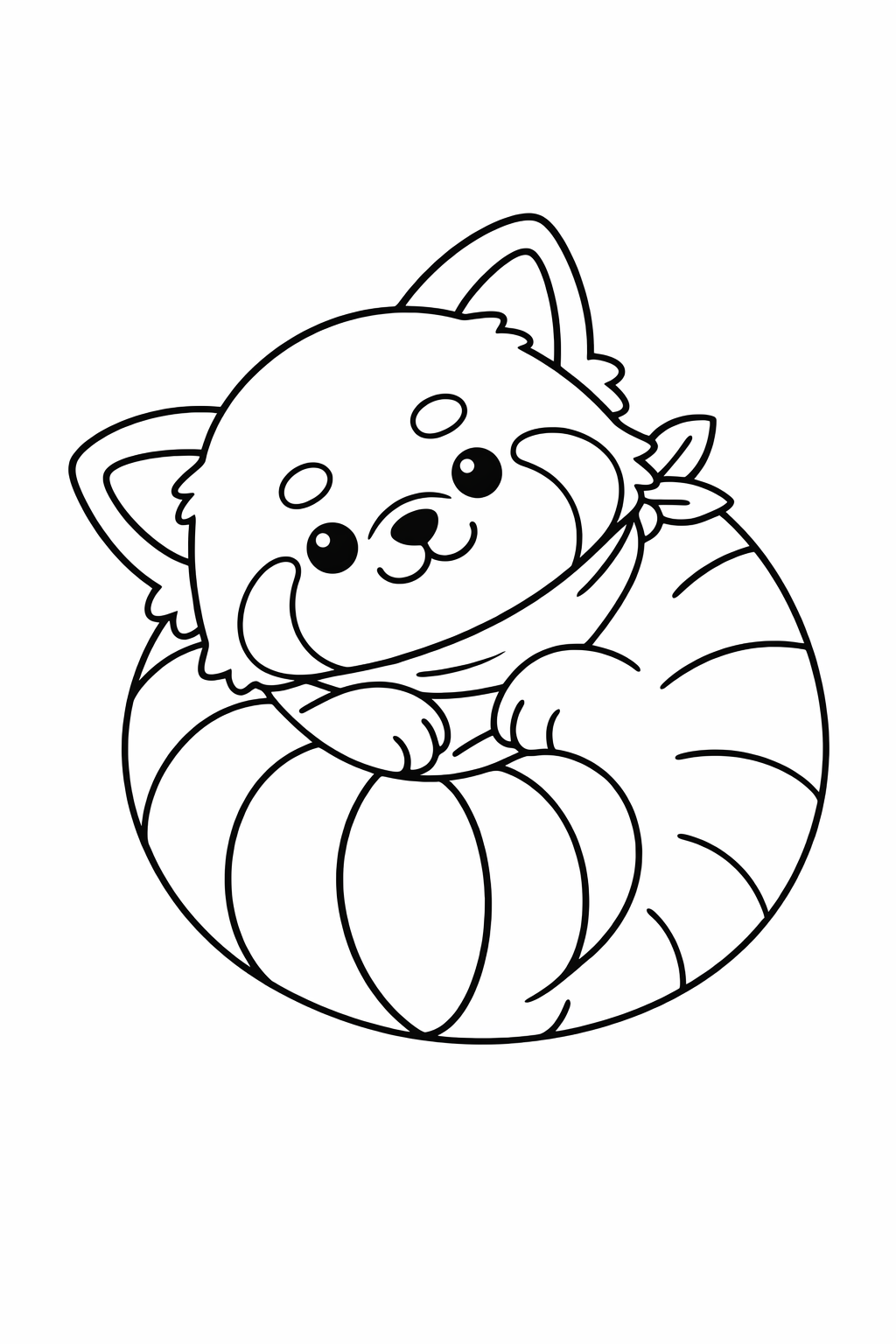 A cute red panda rolling into a soft ball