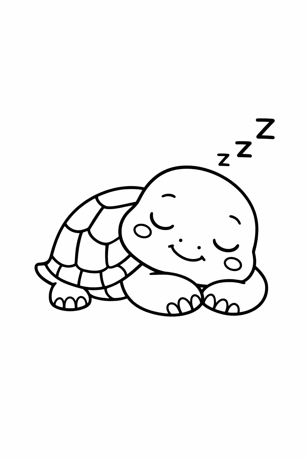 Sleeping Turtle